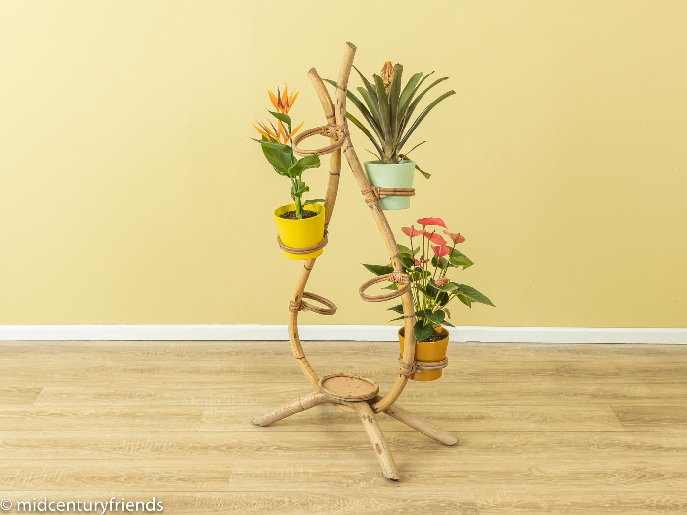 Wundervolle Blumenetagere