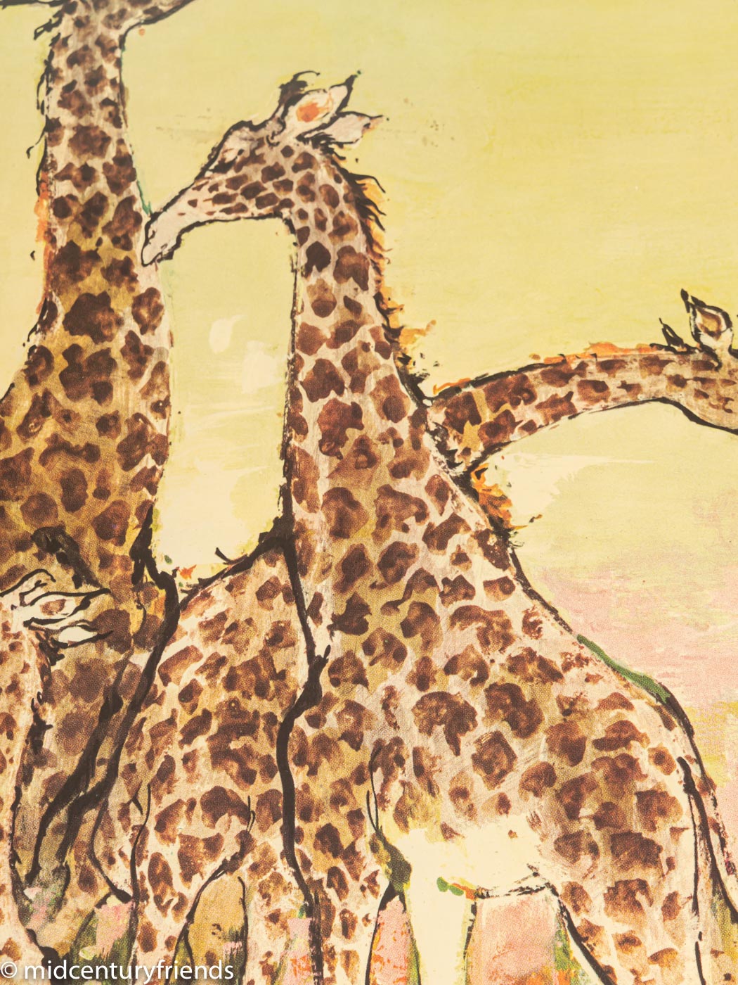 "Africa", Scandinavian Airlines 1950