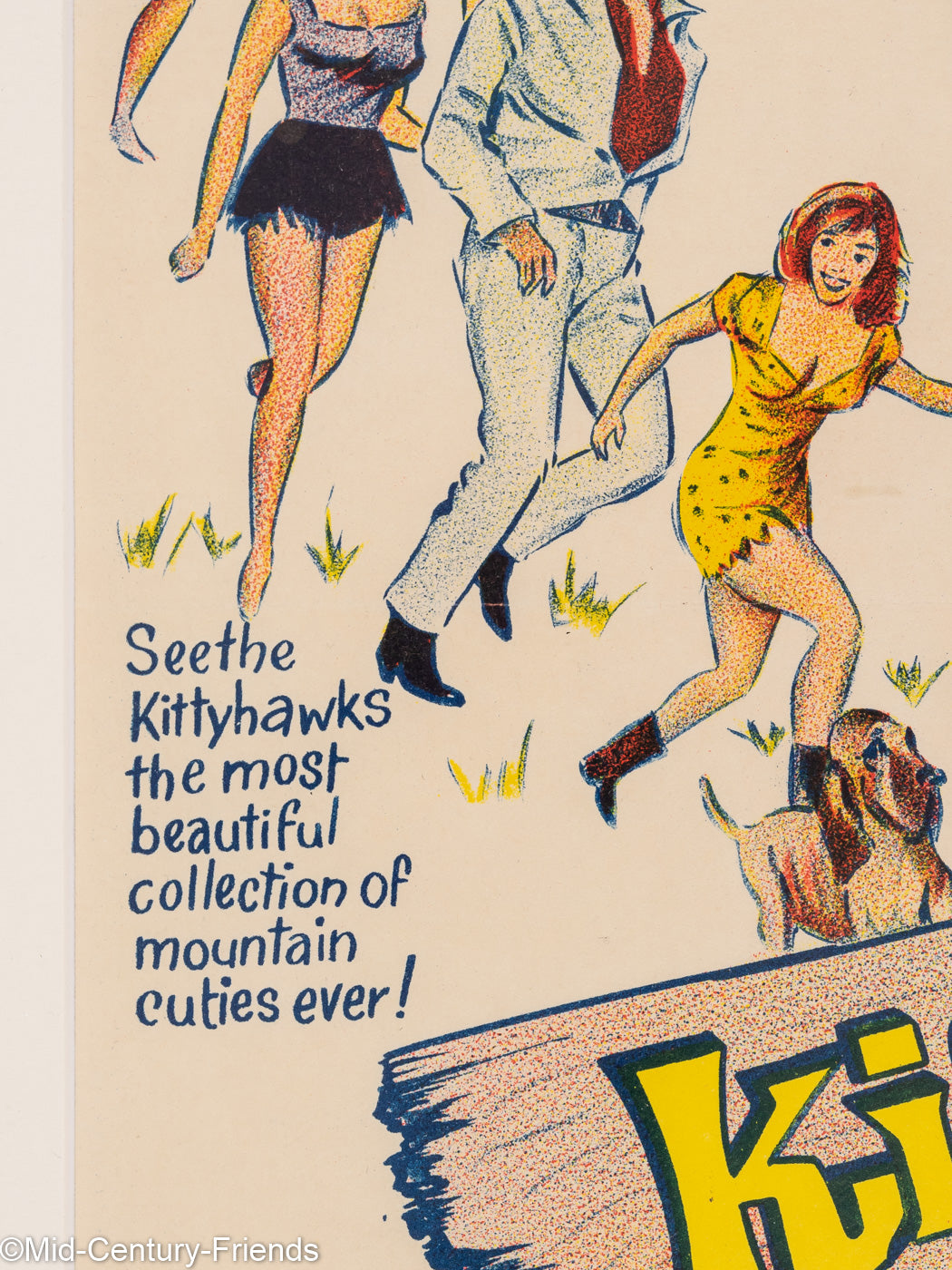 Kissin´ Cousins, Elvis Presley, Filmposter, 50 x 93 cm