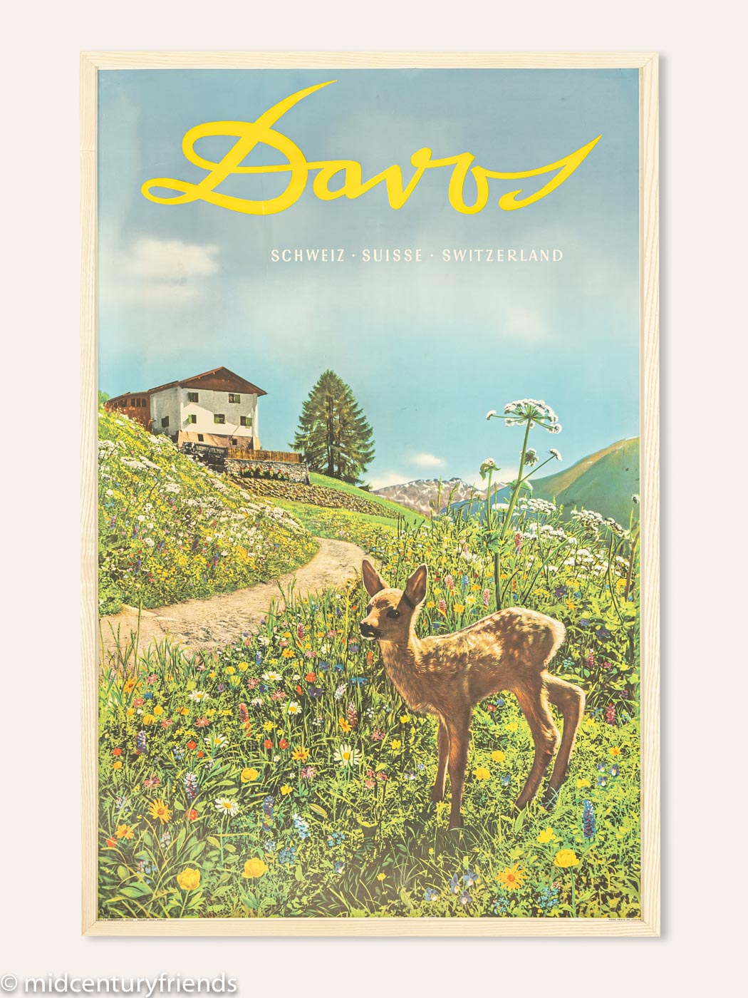 "Davos 1935", Emil Meerkämper