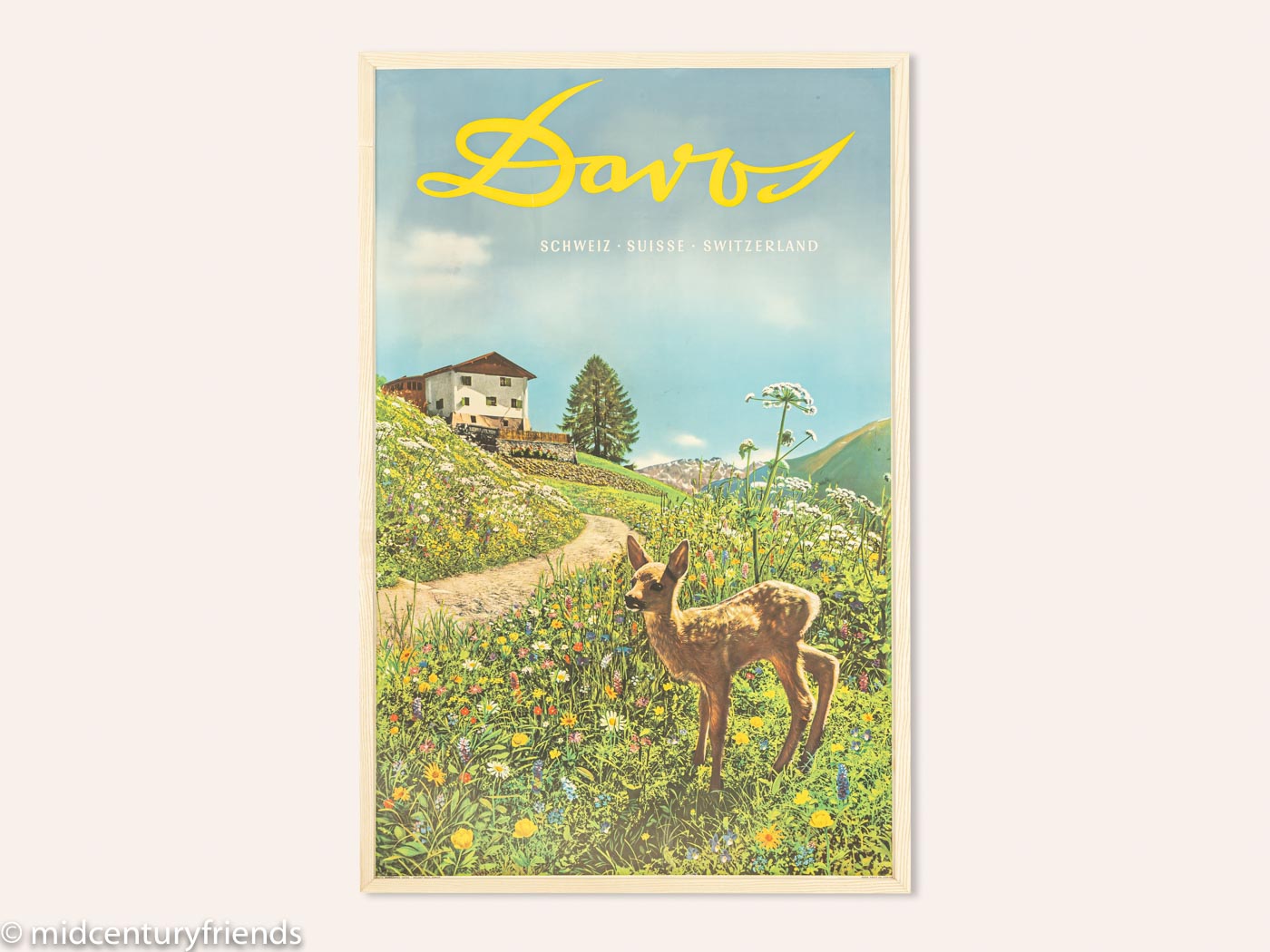 "Davos 1935", Emil Meerkämper