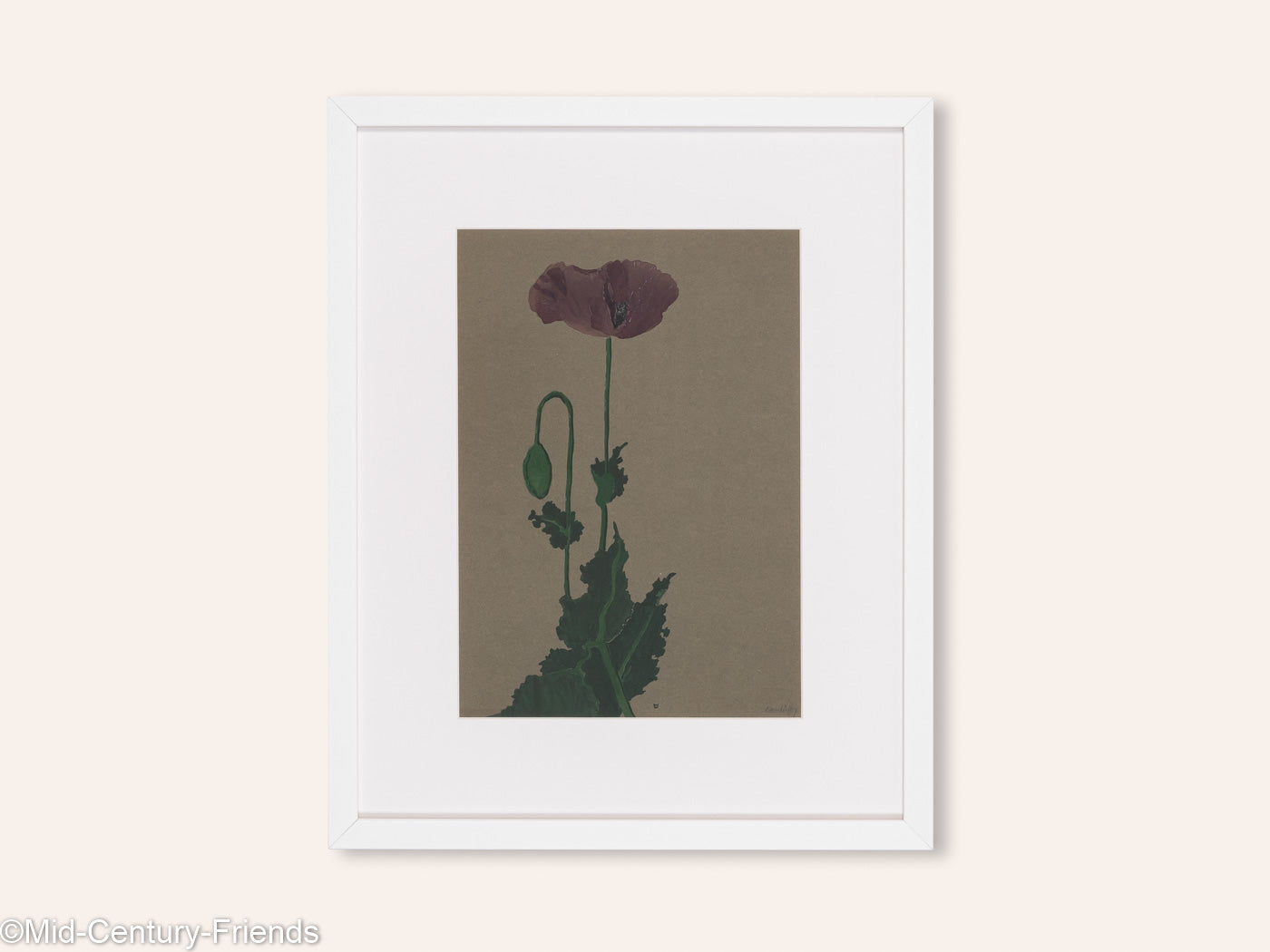 Mohnblume, Aquarell auf Papier, 42 x 52 cm