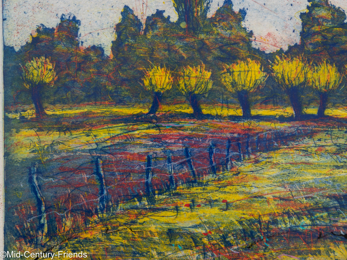 Weiden III, Farbradierung auf Papier 63 x 53 cm