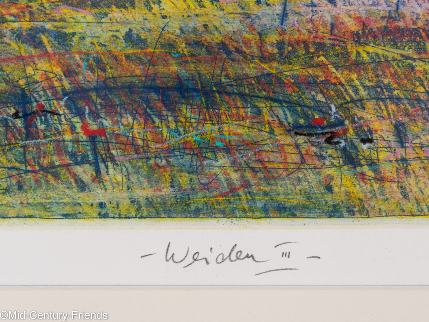 Weiden III, Farbradierung auf Papier 63 x 53 cm