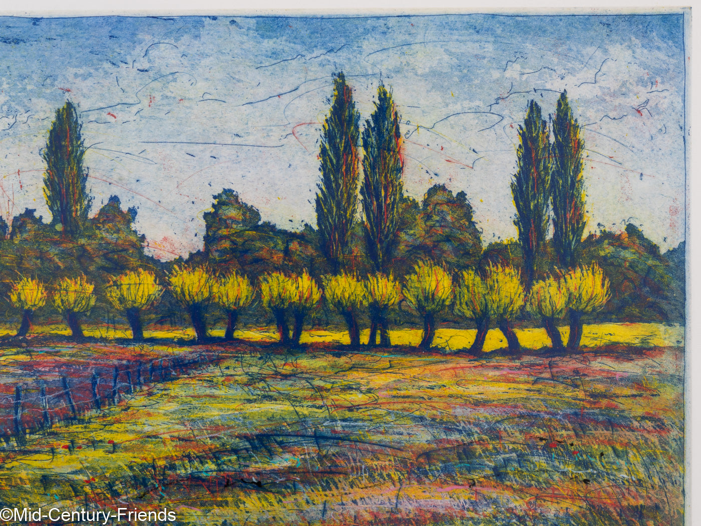 Weiden III, Farbradierung auf Papier 63 x 53 cm