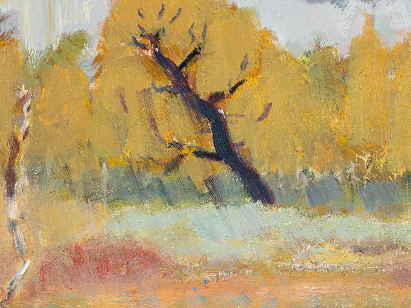 WALDRAND, ÖL AUF LEINWAND, 44 X 36 CM