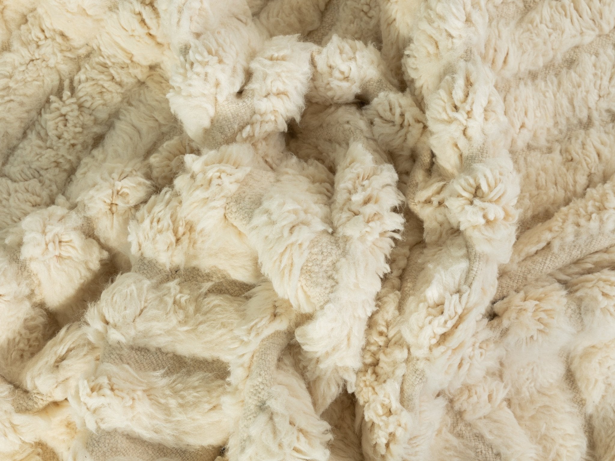 Decent Cream, Berber Teppich, 215 x 290 - Mid Century Friends - Vintage - Retro - Mid Century