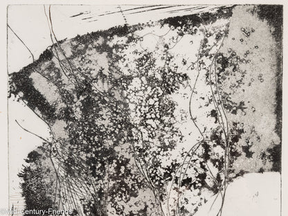 Fragmente, S/W Radierung (Set), 31 x 41 cm