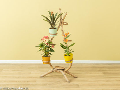 Wundervolle Blumenetagere
