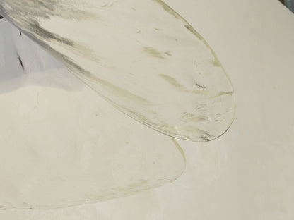 Murano glass ceiling lamp, Carlo Nason, Mazzega