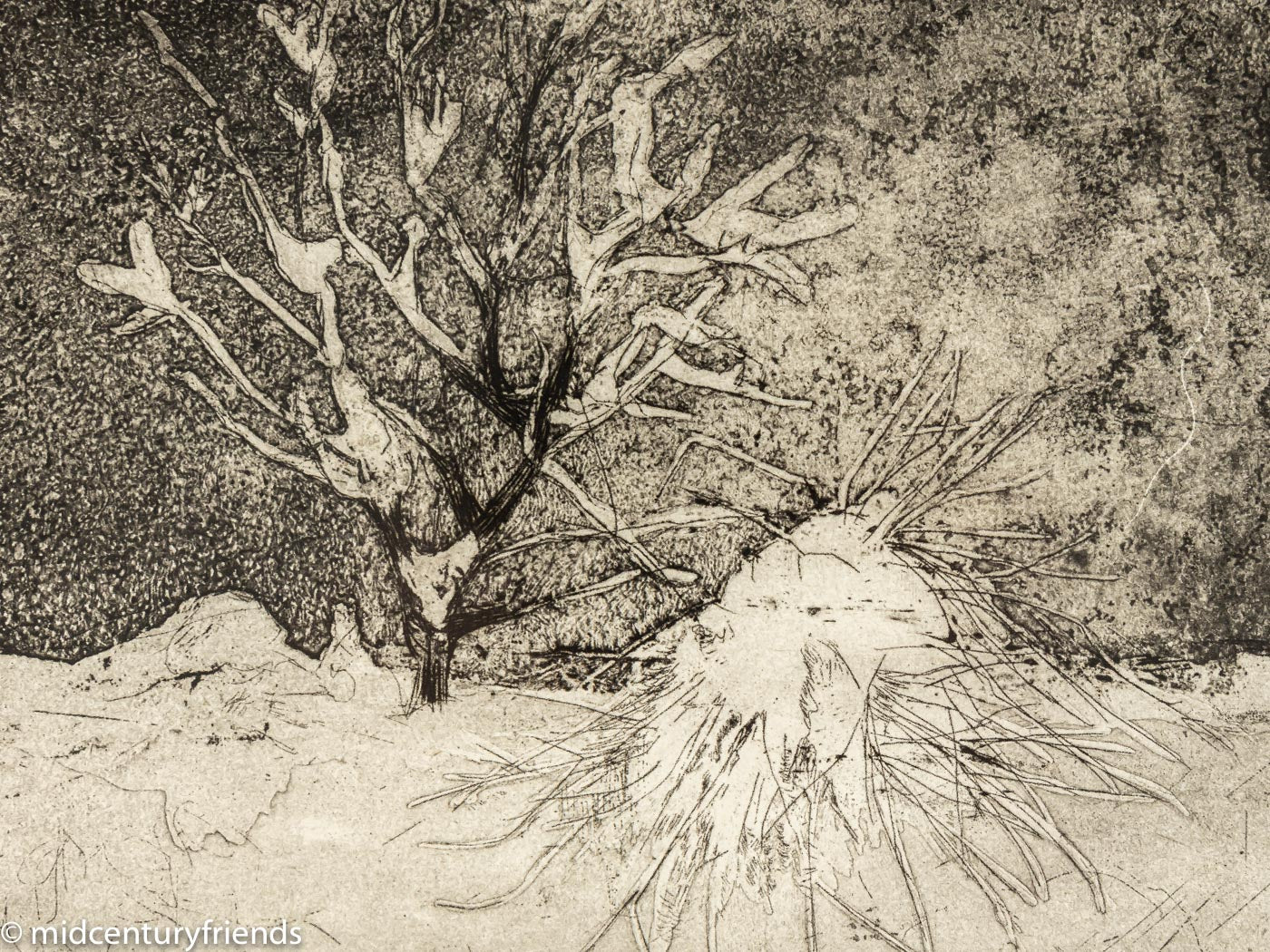 Neige, S/W Radierung auf Papier, 47 x 47 cm