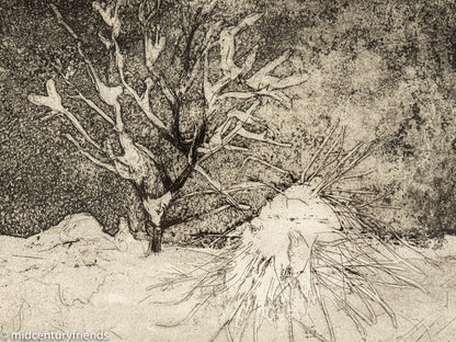 Neige, S/W Radierung auf Papier, 47 x 47 cm