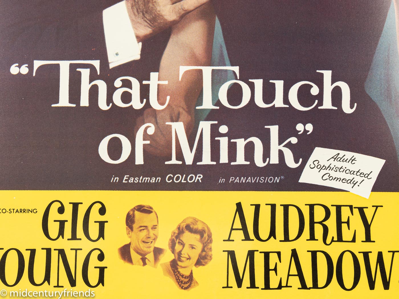 „THAT TOUCH OF MINK“, 70 X 106 CM