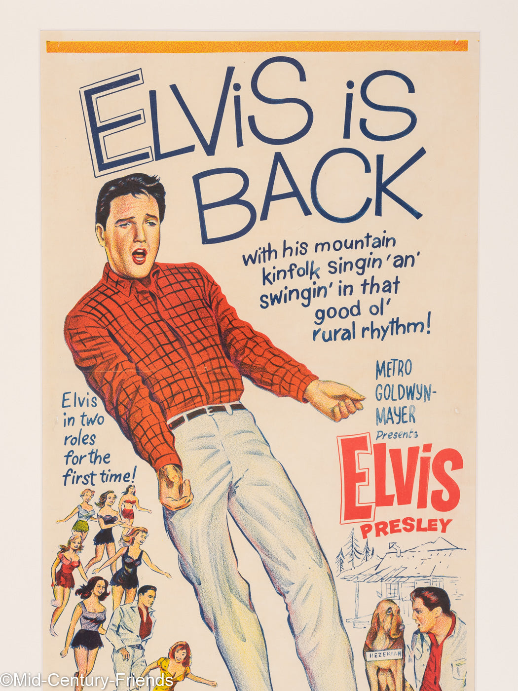Kissin´ Cousins, Elvis Presley, Filmposter, 50 x 93 cm