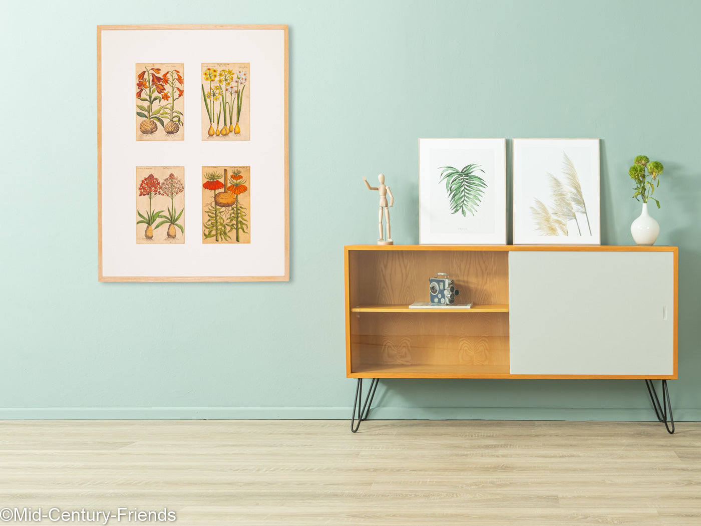 Botanische Zeichnungen 18. Jahrhundert, Kolorierter Kupferstich, 83 x 113 cm