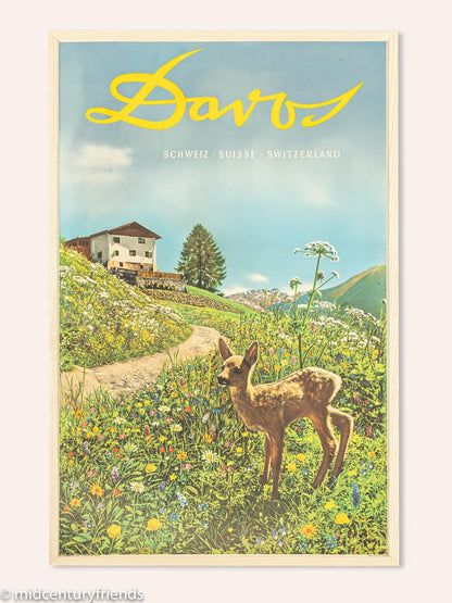 "Davos 1935", Emil Meerkämper