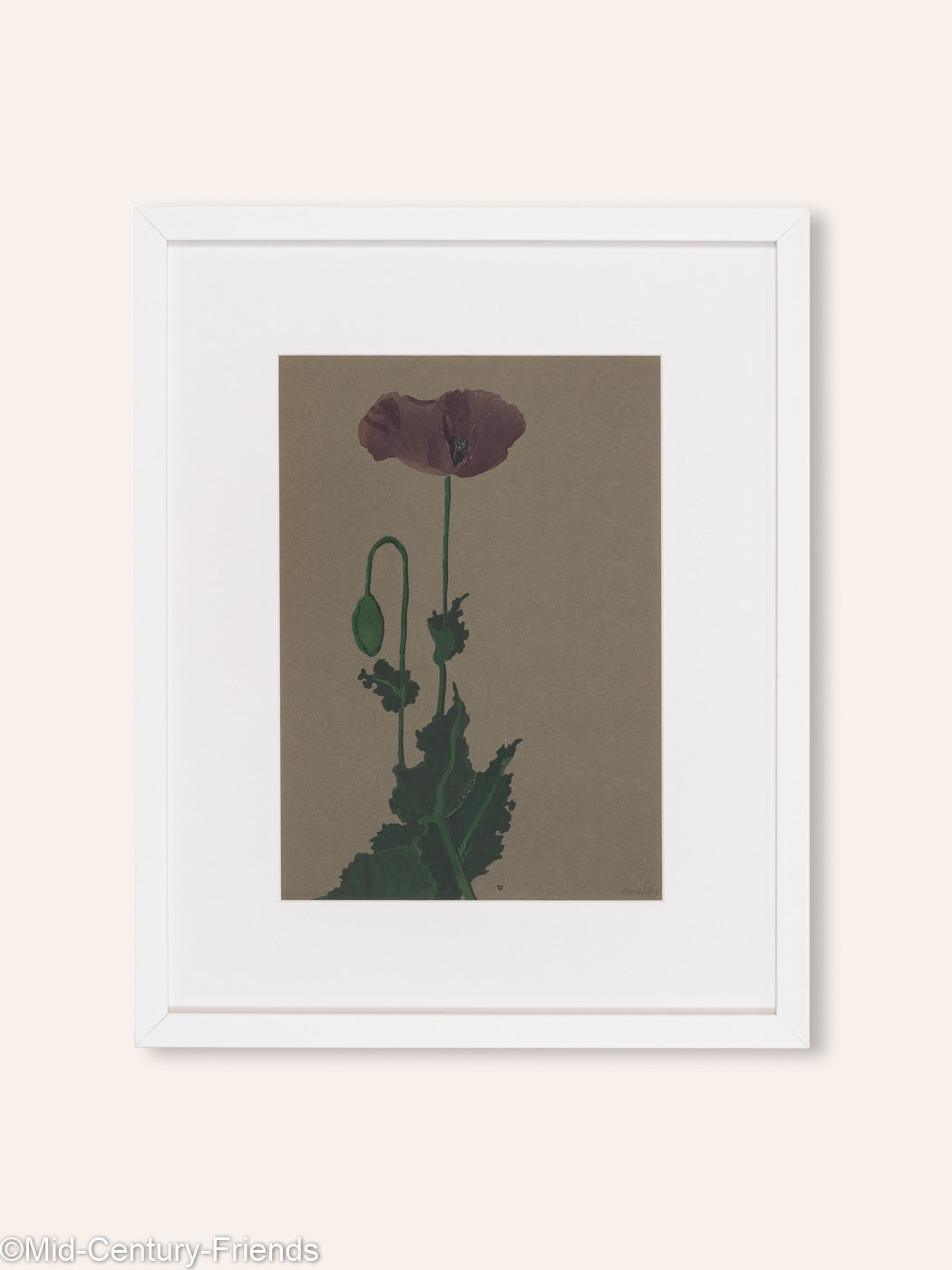 Mohnblume, Aquarell auf Papier, 42 x 52 cm