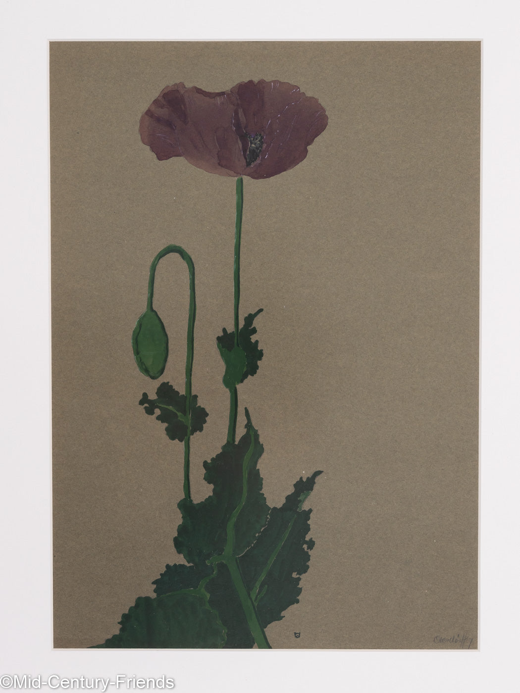 Mohnblume, Aquarell auf Papier, 42 x 52 cm