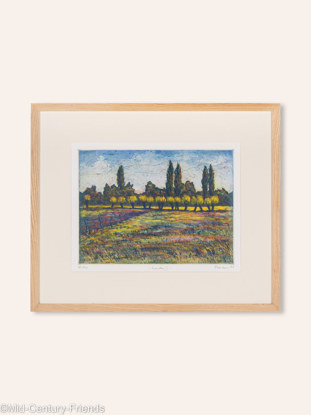 Weiden III, Farbradierung auf Papier 63 x 53 cm