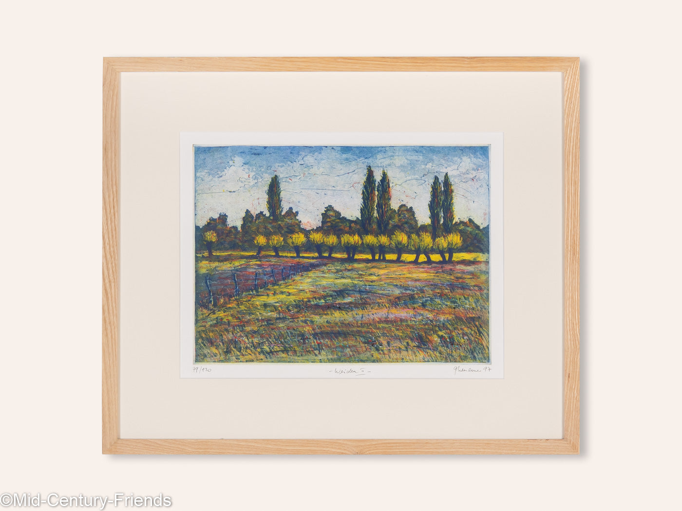 Weiden III, Farbradierung auf Papier 63 x 53 cm