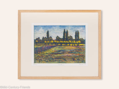 Weiden III, Farbradierung auf Papier 63 x 53 cm