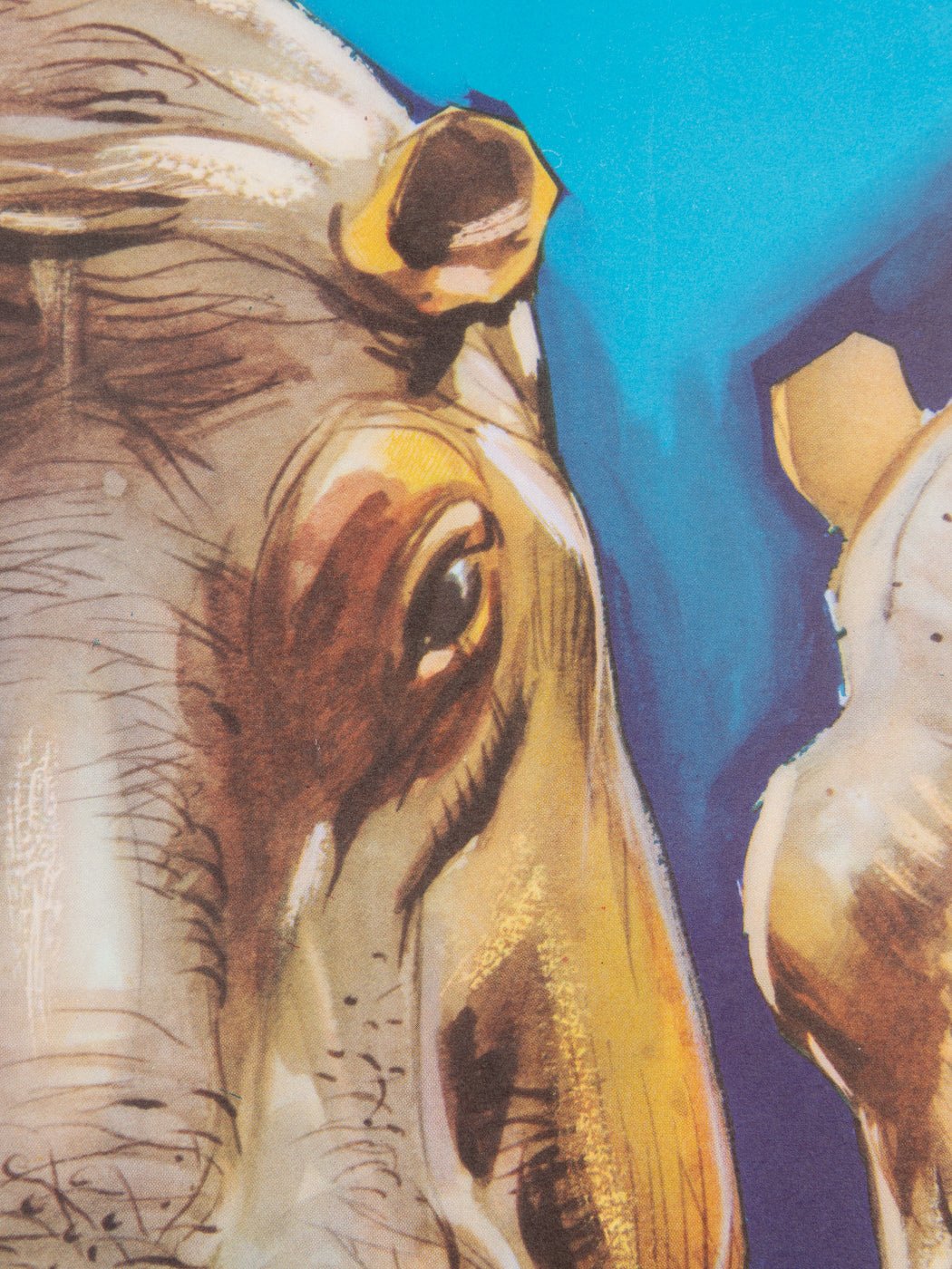 Zoo Berlin, 53 x 70 cm - Mid Century Friends - Vintage - Retro - Mid Century