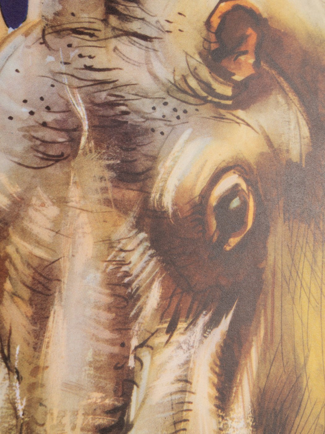 Zoo Berlin, 53 x 70 cm - Mid Century Friends - Vintage - Retro - Mid Century